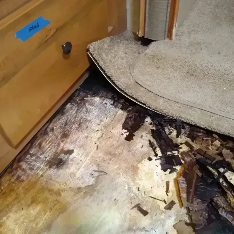 Wood Floor Water Damage in Baton Rouge, LA